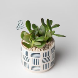 BUDS Plant Boutique