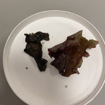 Pollo Campero - two pieces of leaf left on a plate - Latin American Near Me - Gaithersburg, Maryland Pollo Campero - two pieces of leaf left on a plate - Latin American Near Me - Gaithersburg, Maryland