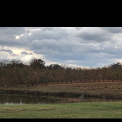 Rowell's Orchards - Apple orchard