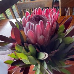 Tai Shan Farms - Table flowers