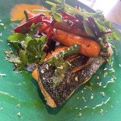 High Country Salmon