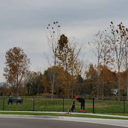 Pitchford Park - Silhouettes on fence of a Black Labrador and Owner of dog park. Guests sitting on bench too. 10/23/2024