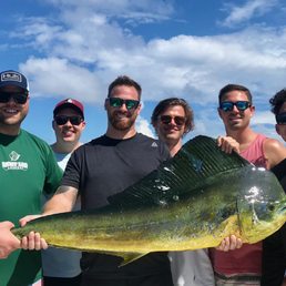 Bull Mahi Bull Mahi