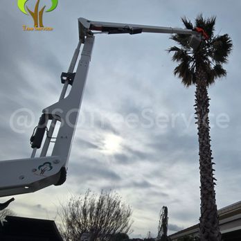 JSO Tree Service - Landscaping Near Me
