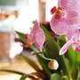Photo of Quality House Cleaning Service