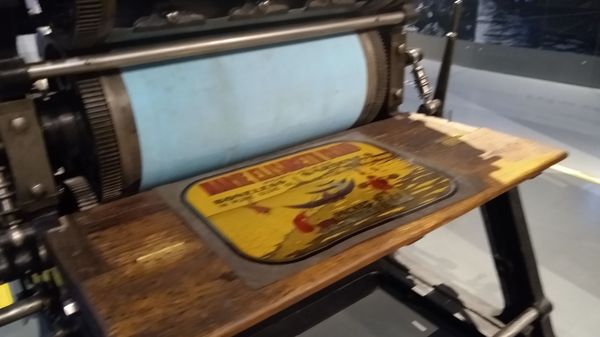 Museu de Portimão by null