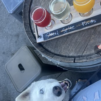 Blue Oak Brewing Company - Flight - Breweries Near Me - San Carlos, California Blue Oak Brewing Company - Flight - Breweries Near Me - San Carlos, California