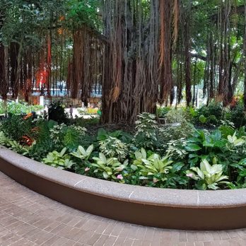 Hale Koa Hotel - Banyan courtyard - Hotels Near Me - Honolulu, Hawaii Hale Koa Hotel - Banyan courtyard - Hotels Near Me - Honolulu, Hawaii