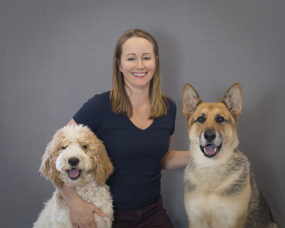 PRESTON CENTER ANIMAL CLINIC Updated September 2024 13 Photos & 17