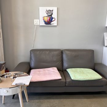 Happy Cat Grooming - seating area for parents :-) - Pet Groomers Near Me - Cypress, California Happy Cat Grooming - seating area for parents :-) - Pet Groomers Near Me - Cypress, California