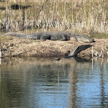Charlotte Harbor Environmental Center - Parks Near Me - Punta Gorda, Florida
