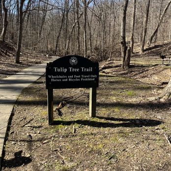 Tulip Tree Trail - Hiking Near Me - Louisville, Kentucky Tulip Tree Trail - Hiking Near Me - Louisville, Kentucky