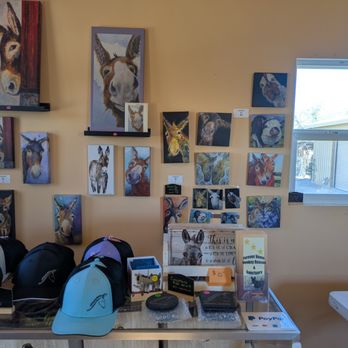 Forever Home Donkey Rescue and Sanctuary - Animal Shelters Near Me - Benson, Arizona