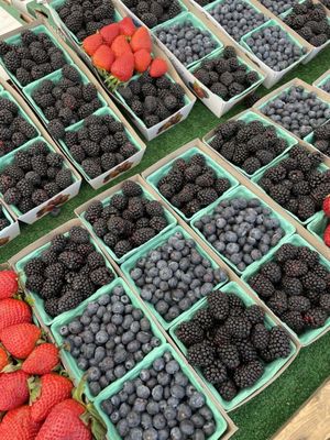 Brentwood Farmers Market by null