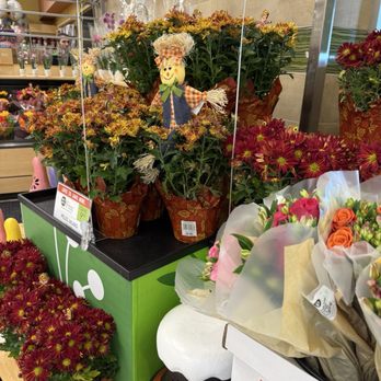 Publix - Grocery Near Me - Hampstead, North Carolina Publix - Grocery Near Me - Hampstead, North Carolina