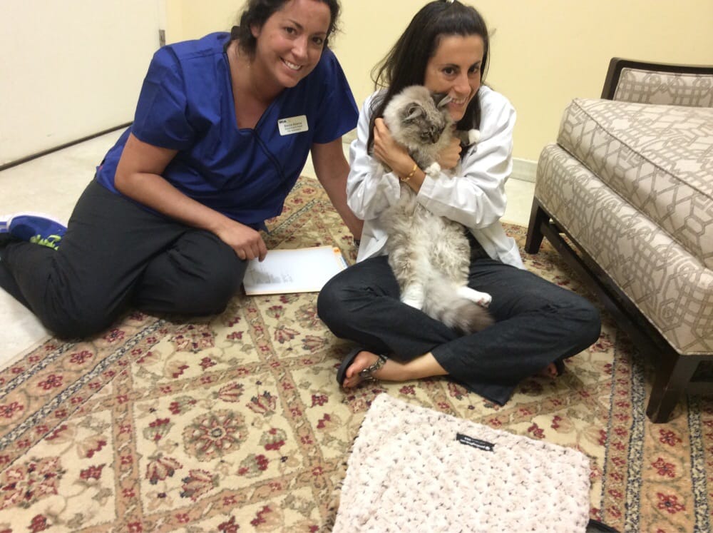 southpaws veterinary