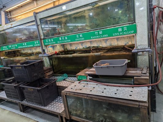 No Signboard Seafood At Geylang by null No Signboard Seafood At Geylang by null