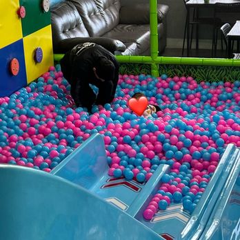 Wonderland 4 Kids - Big ball pit and slide - Indoor Playcenter Near Me - Burbank, California Wonderland 4 Kids - Big ball pit and slide - Indoor Playcenter Near Me - Burbank, California