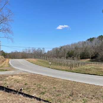 Bear Claw Vineyards - Wineries Near Me - Blue Ridge, Georgia Bear Claw Vineyards - Wineries Near Me - Blue Ridge, Georgia