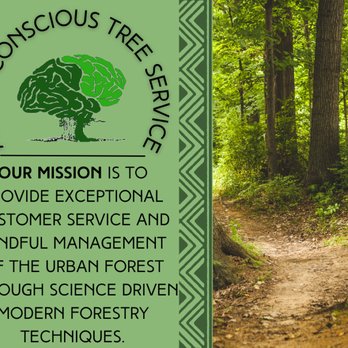 Arbor Conscious Tree Service - Our mission - Tree Services Near Me Arbor Conscious Tree Service - Our mission - Tree Services Near Me