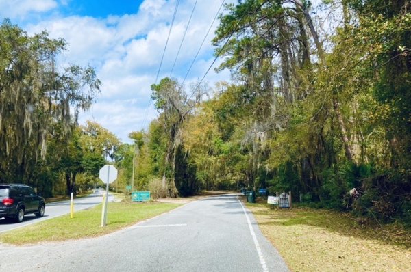 Cannon's Point Preserve by null