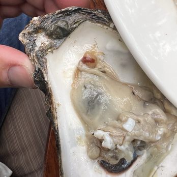 Quinto - Live moving creature inside oyster. - Steakhouses Near Me - Miami, Florida
