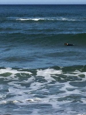 Longnook Beach by null