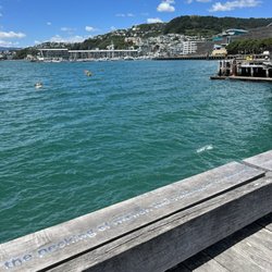 Wellington Waterfront Walk