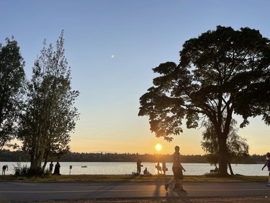 Green Lake Park by null
