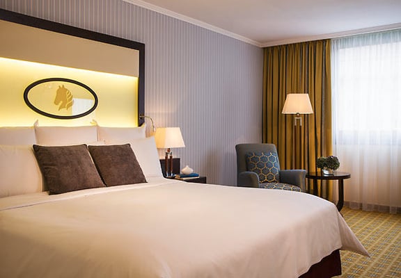 Imperial Riding School, Autograph Collection by null