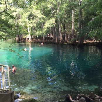 Manatee Springs State Park - The main spring - Parks Near Me - Chiefland, Florida