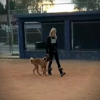 Oh Behave Dog Training - I teach a constant heel for service dogs. - Pet Training Near Me - Campo, California Oh Behave Dog Training - I teach a constant heel for service dogs. - Pet Training Near Me - Campo, California