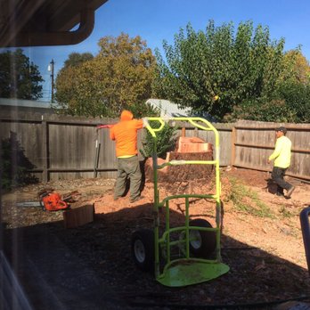 Prodigy Works Tree Service - Landscaping Near Me Prodigy Works Tree Service - Landscaping Near Me