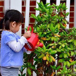 Waldorf School of Garden City