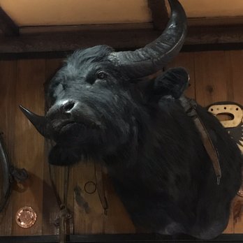 Tapera De Hipólita - Not sure if he ended up in the menu. Impressive Cape Buffalo! - Steakhouses Near Me - Longchamps, B