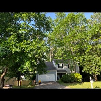 Triple Gs Tree Service - A before and after tree removal - Tree Services Near Me Triple Gs Tree Service - A before and after tree removal - Tree Services Near Me