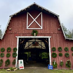 Pop’s Tree Farm