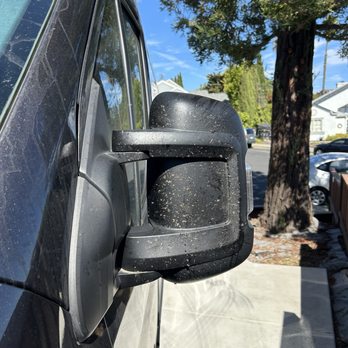 Matts Magic Detail - Before (covered in bugs and gross) - Auto Detailing Near Me