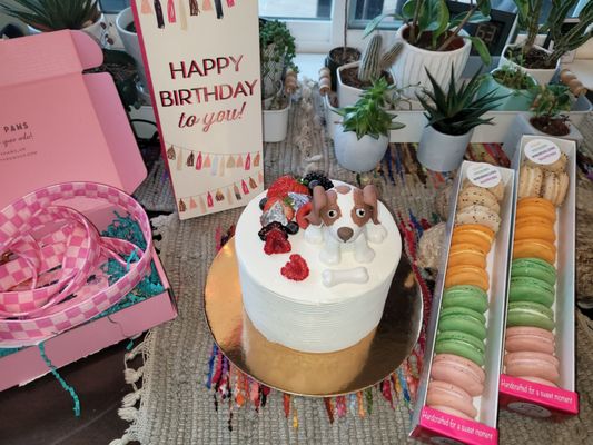 Cakes by Karl by null