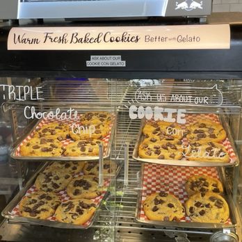 Paciugo Gelato Caffè - Huge Chocolate Chip Cookies - Gelato Near Me - San Antonio, Texas Paciugo Gelato Caffè - Huge Chocolate Chip Cookies - Gelato Near Me - San Antonio, Texas