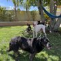 Roscoe’s Retreat