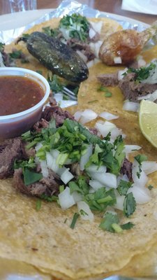 Los Maya’s by null