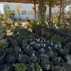 Hanna’s Nursery N Feed - Nursery