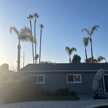 Kings Tree Service - Tree Services Near Me - Sylmar, California Kings Tree Service - Tree Services Near Me - Sylmar, California