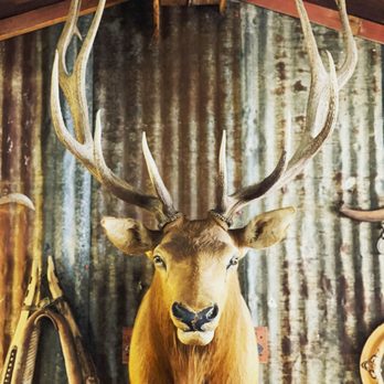 Lost Maples Cafe - Breakfast & Brunch Near Me - Utopia, Texas