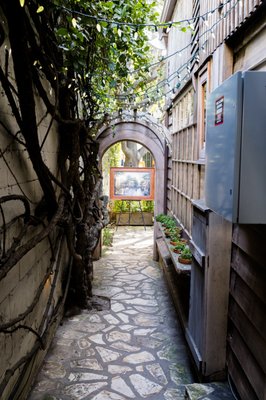 The Xocolatl Garden by null