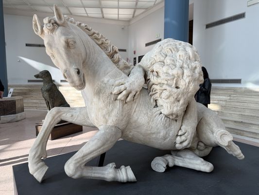 Capitoline Museums by null