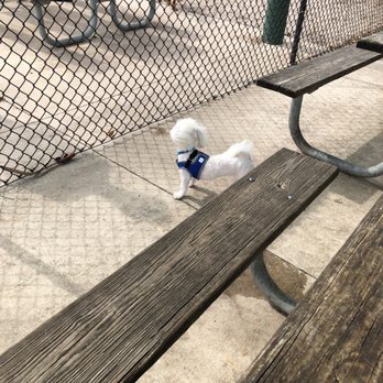 Bark Park - Dog Parks Near Me - Miami, Florida Bark Park - Dog Parks Near Me - Miami, Florida