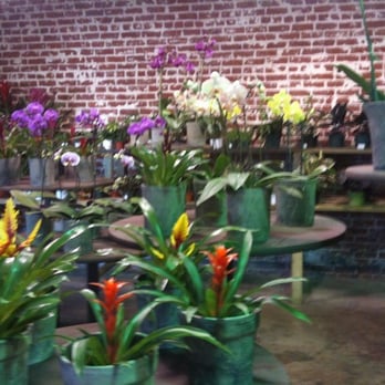 Rolling Greens - Home Decor Near Me - Los Angeles, California
