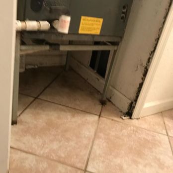 Mold Fighters - Damage Restoration Near Me Mold Fighters - Damage Restoration Near Me